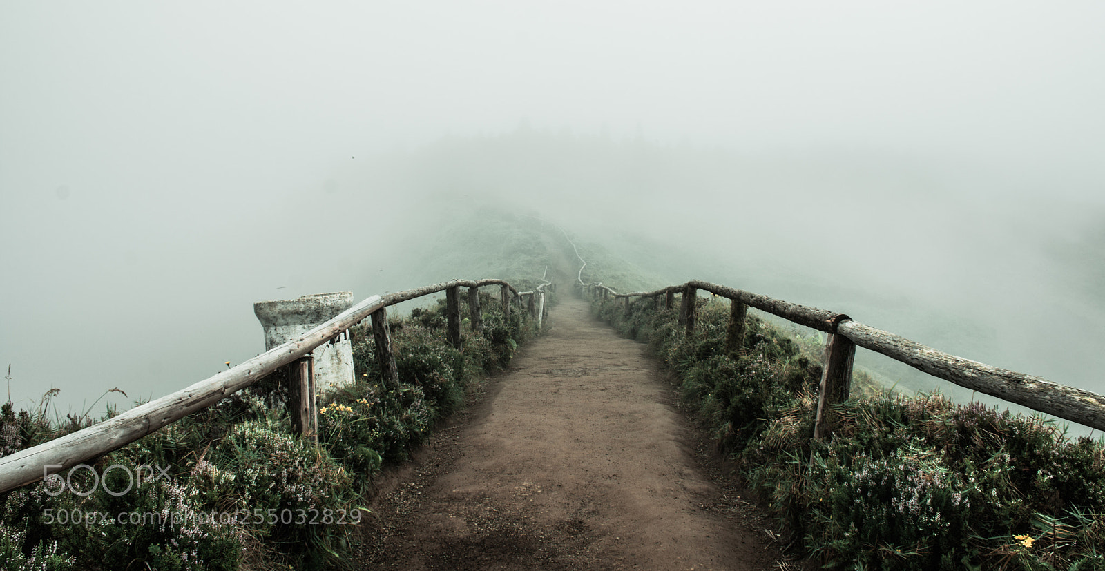 Nikon D7200 sample photo. Foggy lookout, azores photography