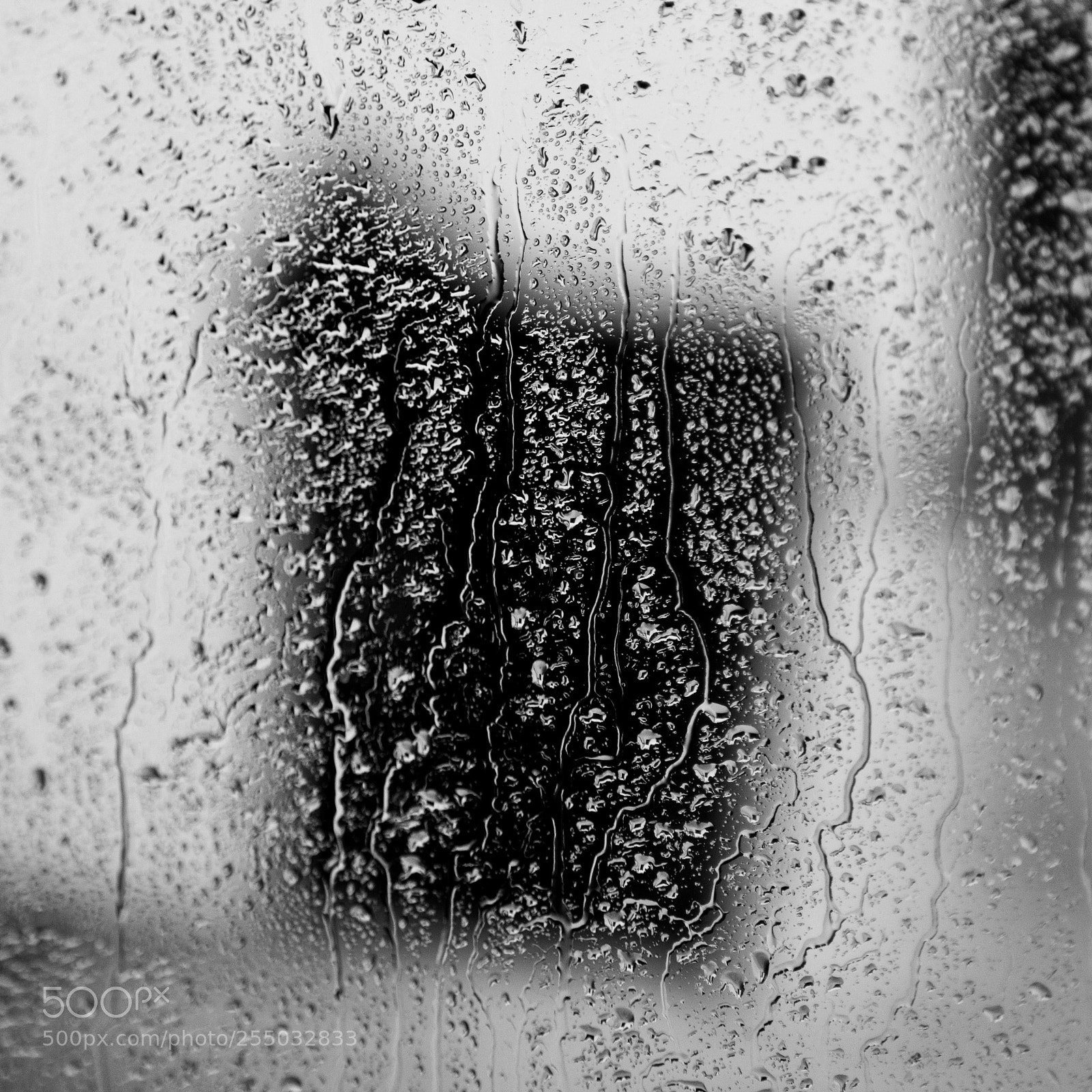 Nikon D3400 sample photo. On the window photography