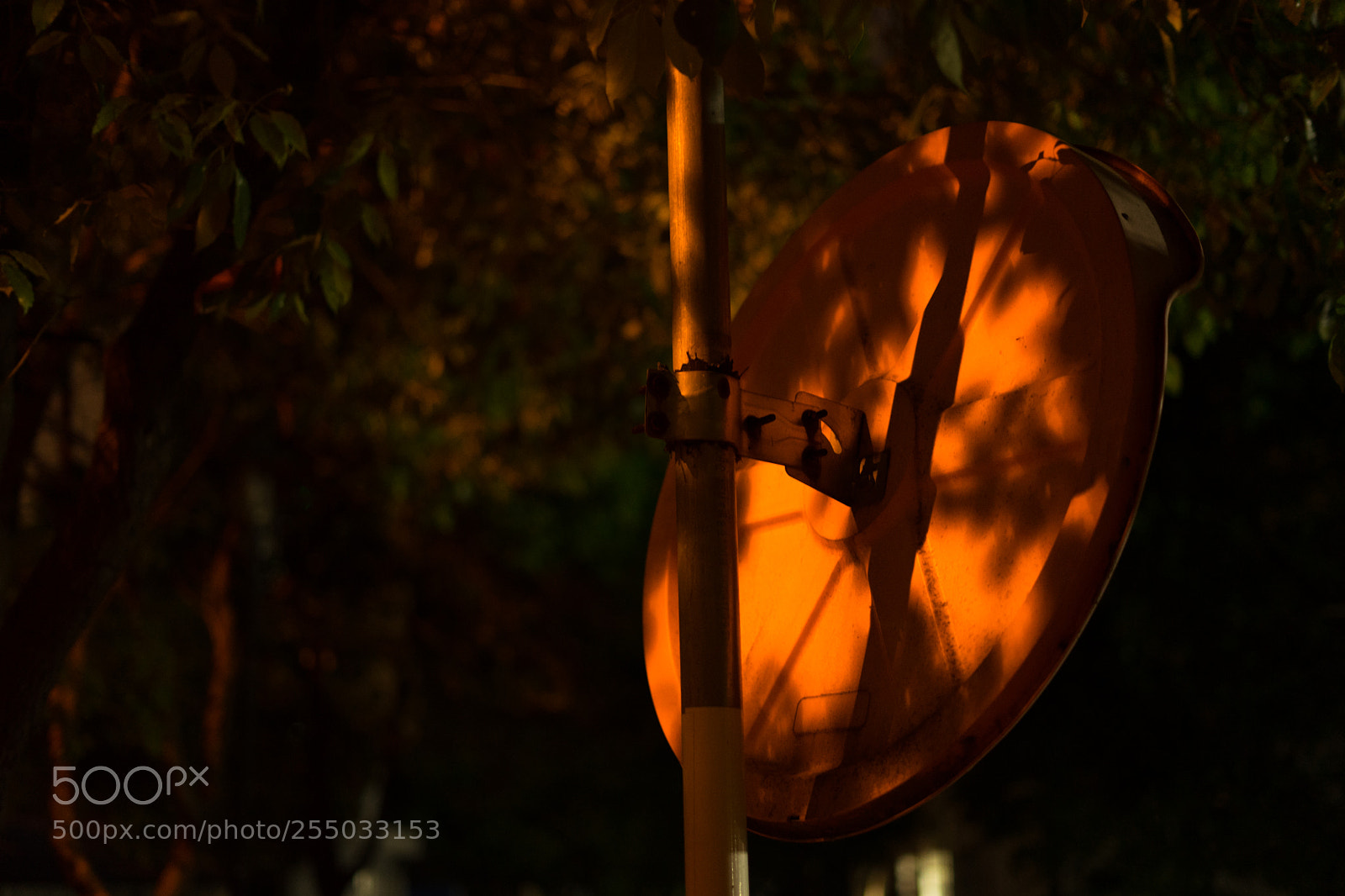 Sony a7 II sample photo. Shadow photography