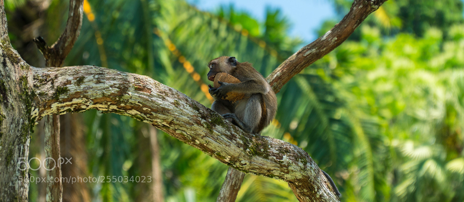 Sony a6500 sample photo. A photography