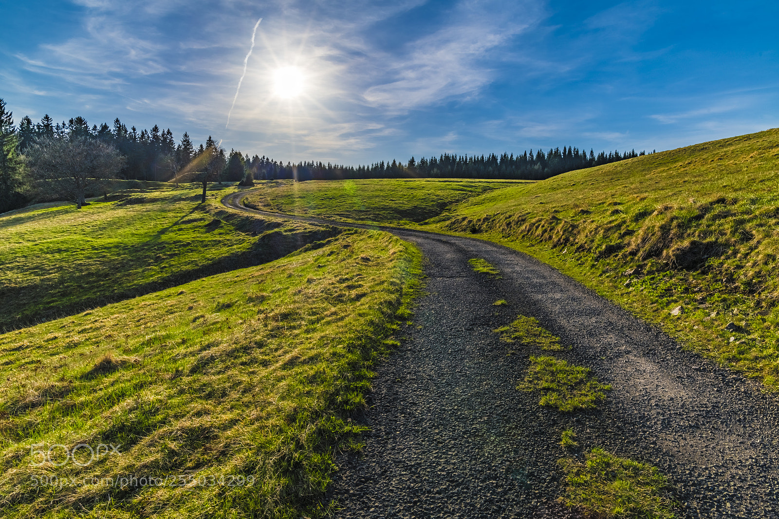 Nikon D850 sample photo. The way to the photography