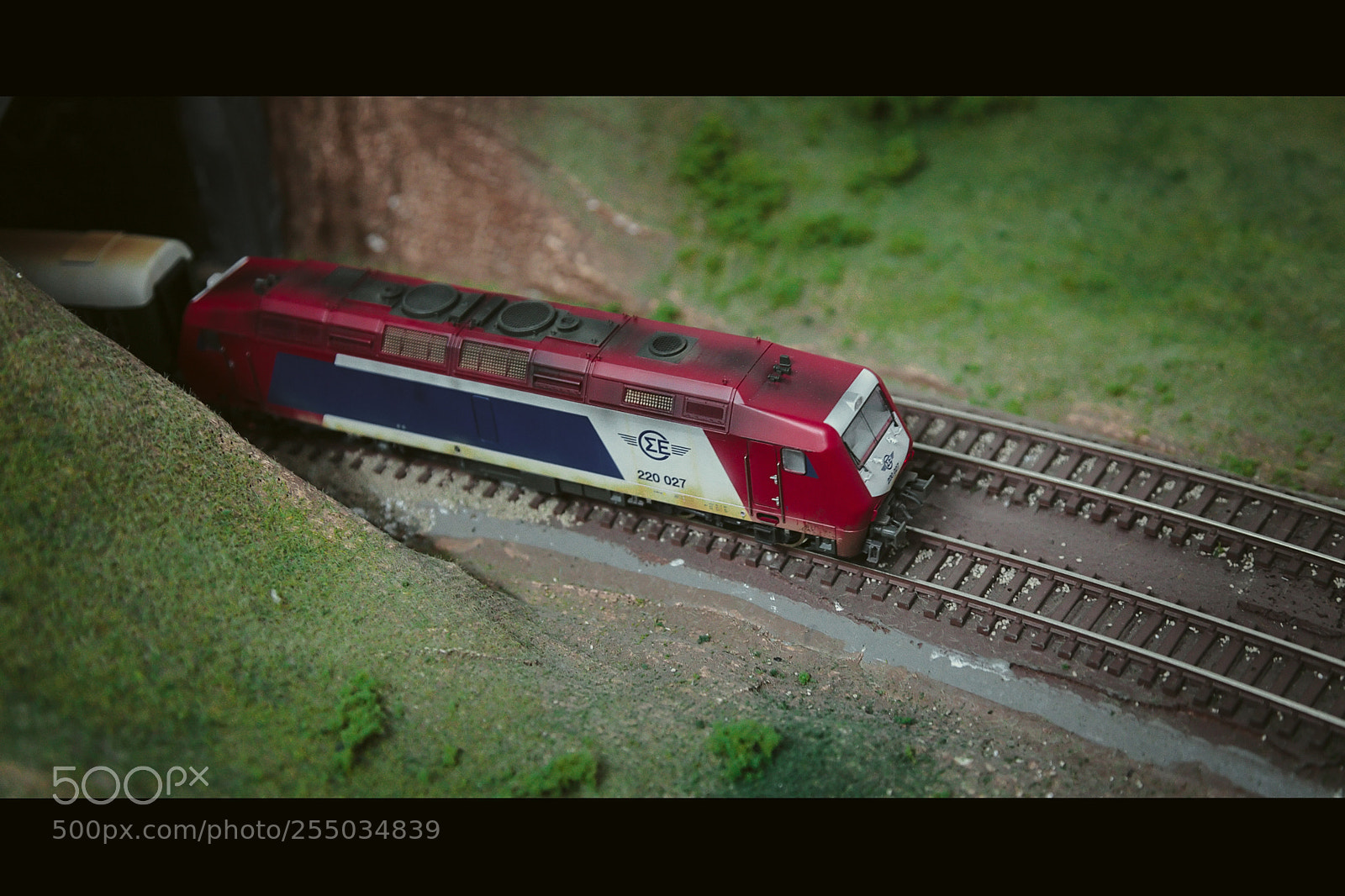 Canon EOS 5D Mark II sample photo. The train leaves at photography