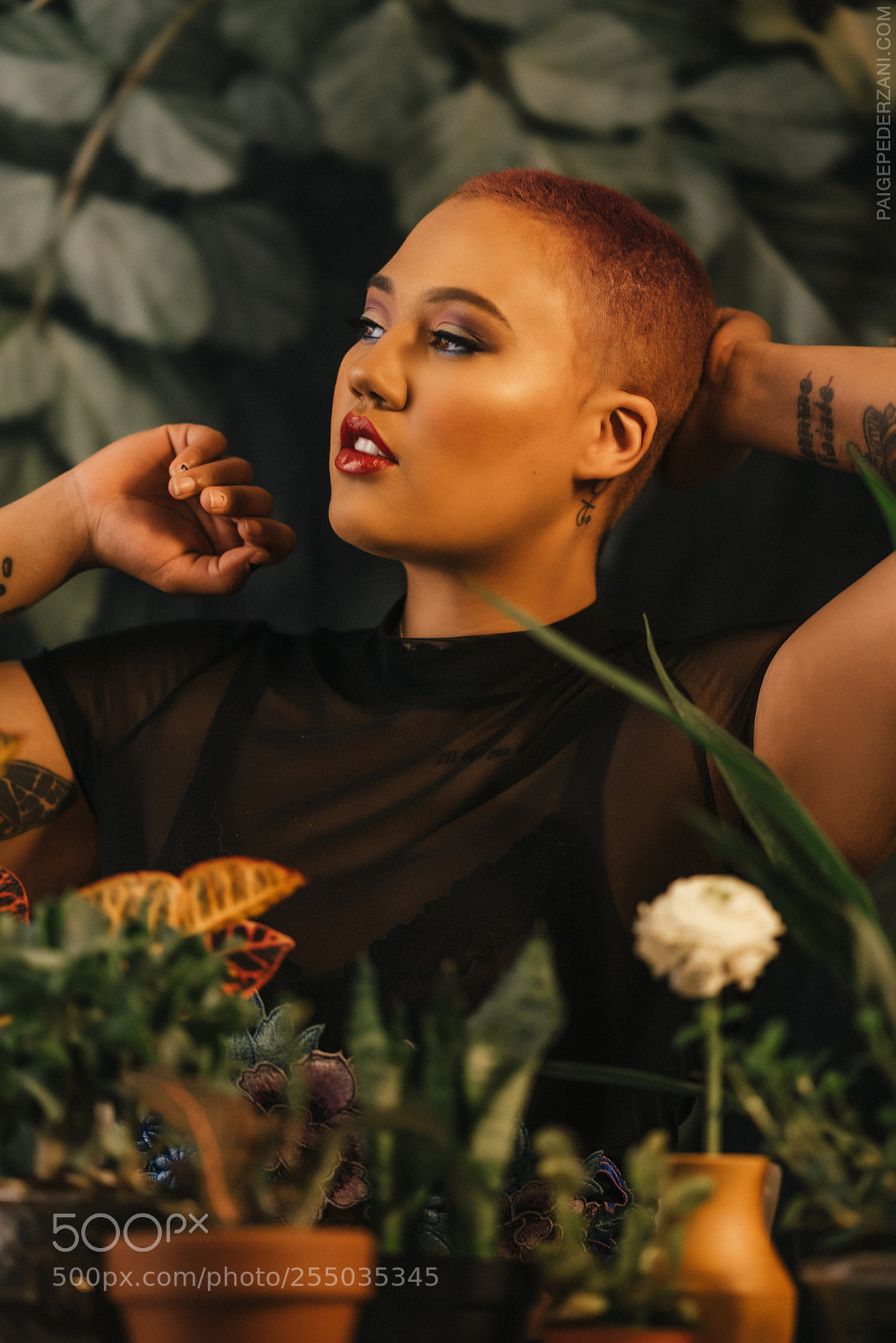 Sony a7R sample photo. The garden of eden photography