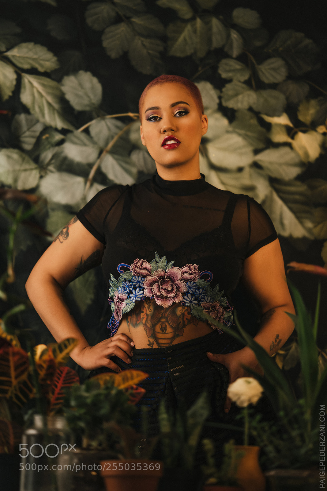 Sony a7R sample photo. The garden of eden photography