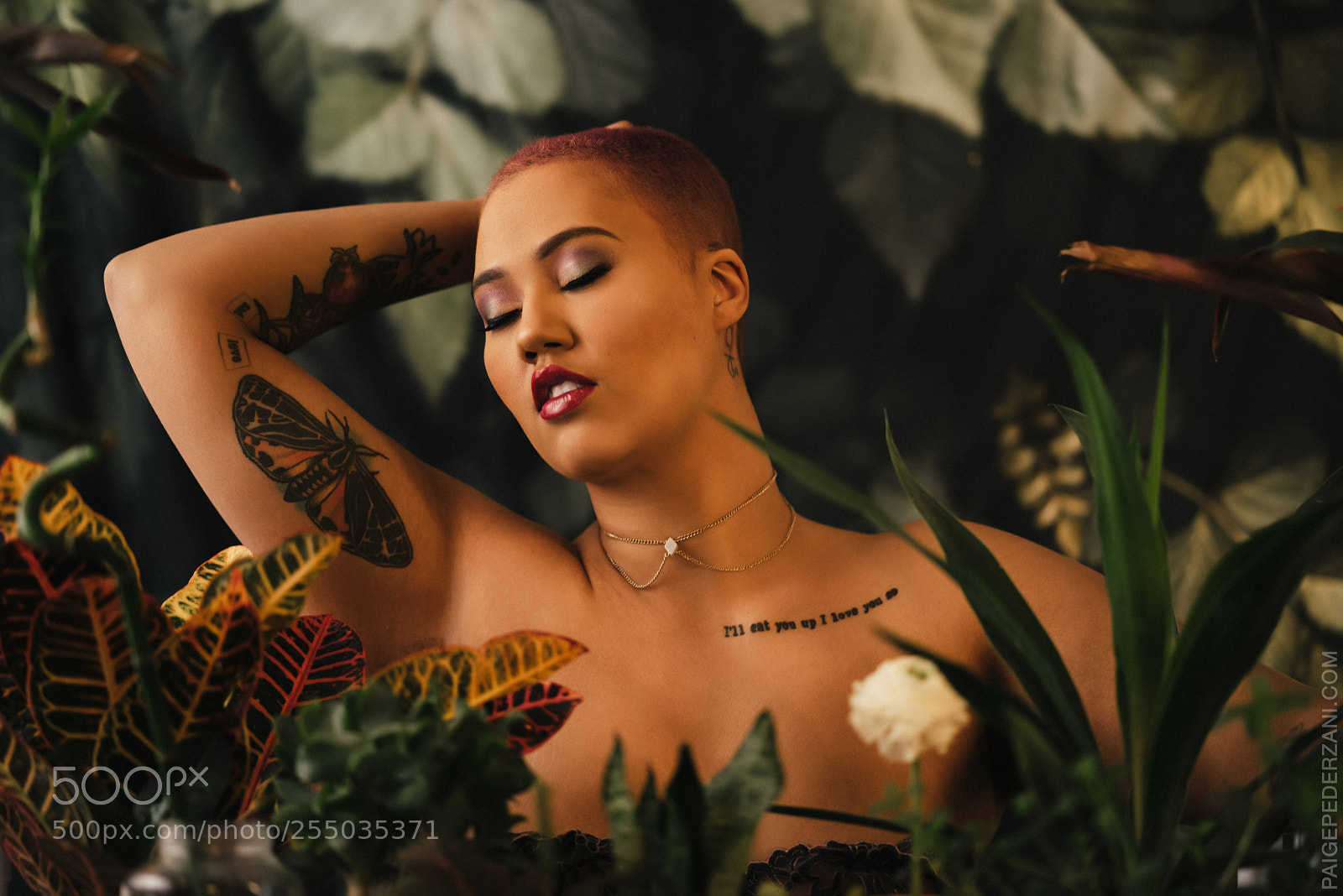 Sony a7R sample photo. The garden of eden photography