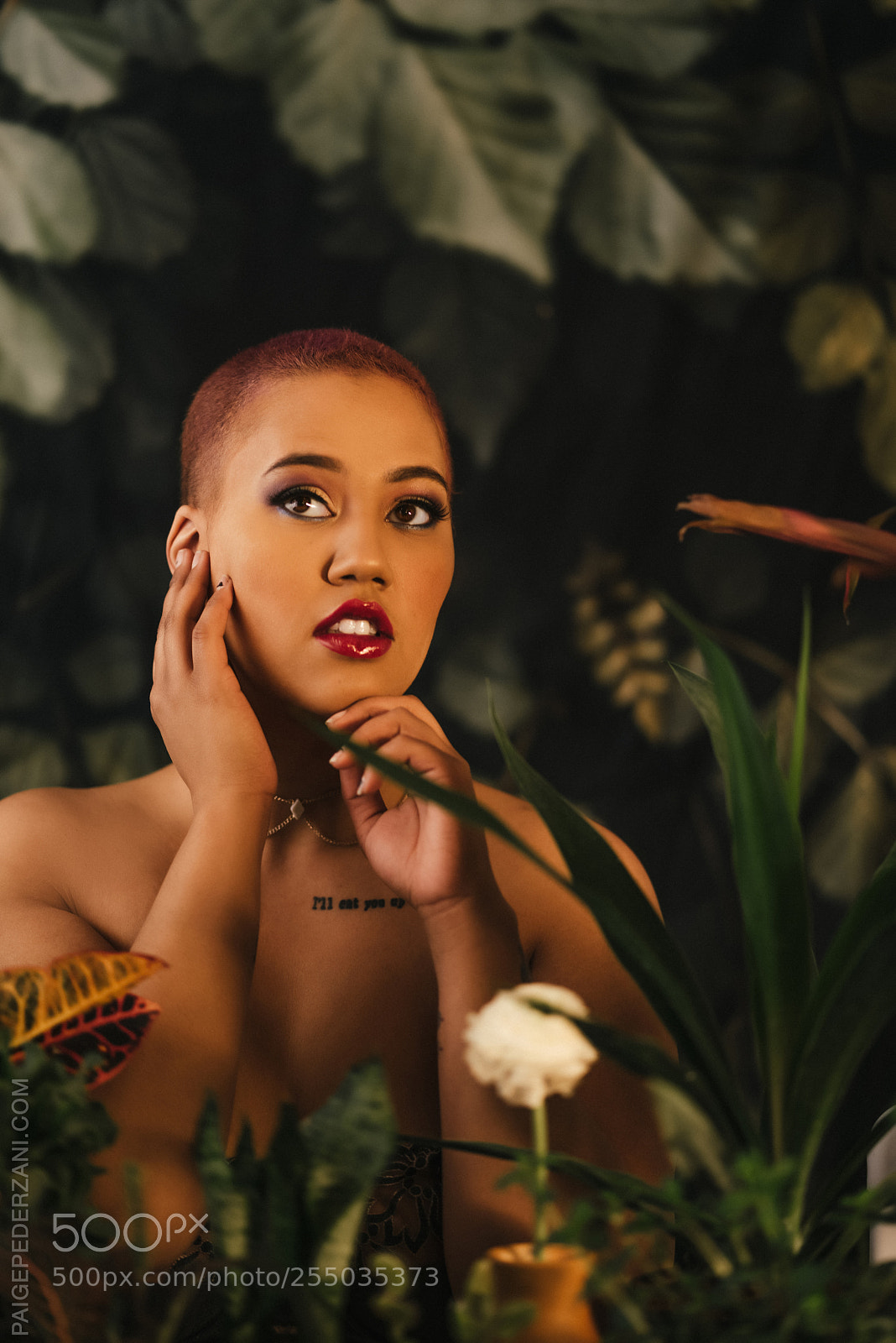 Sony a7R sample photo. The garden of eden photography