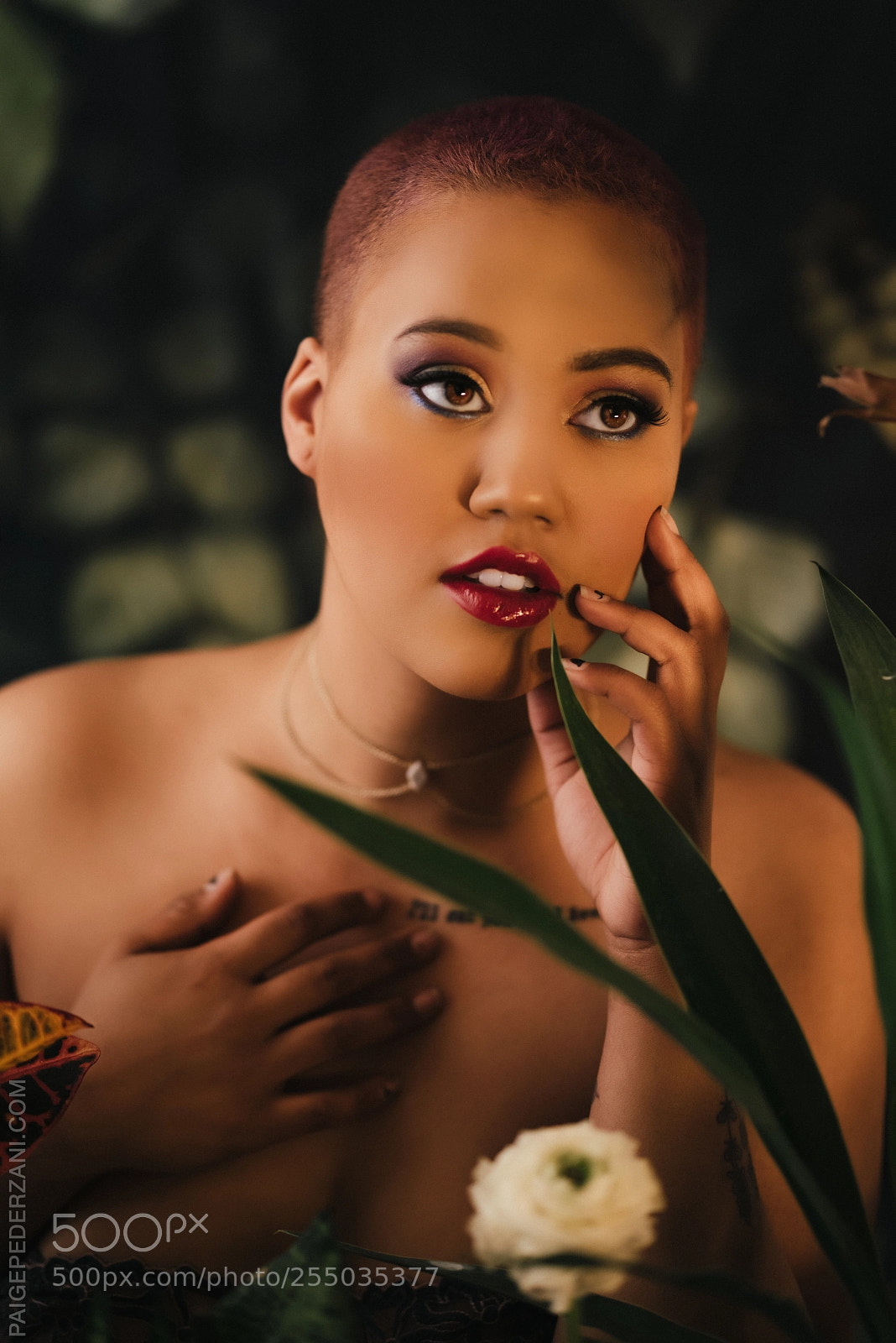 Sony a7R sample photo. The garden of eden photography