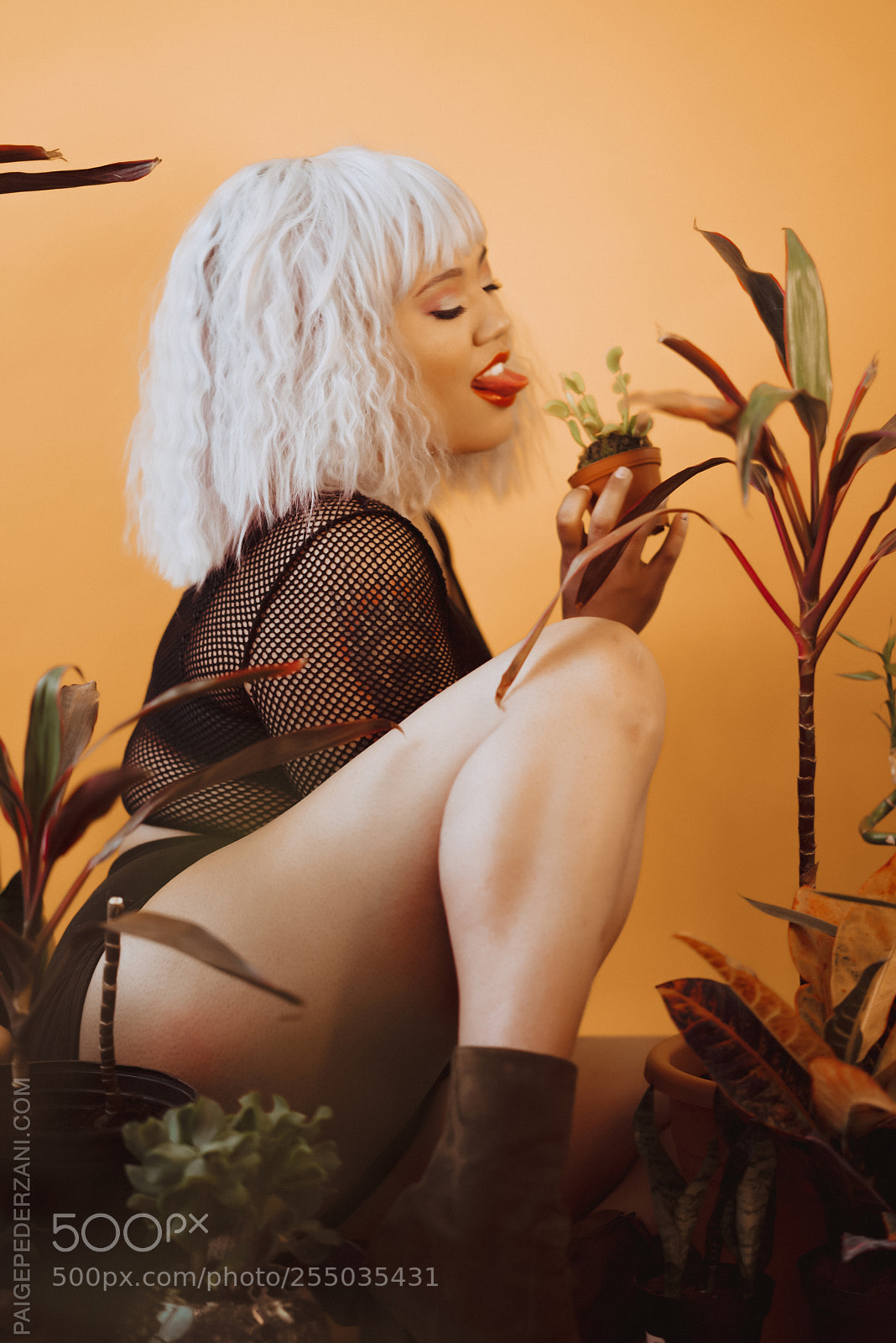 Sony a7R sample photo. The garden of eden photography