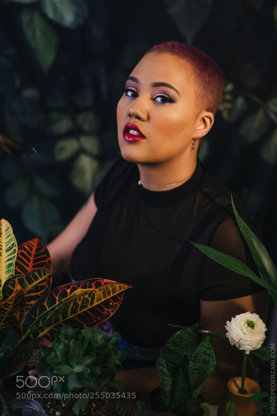 Sony a7 II sample photo. The garden of eden photography