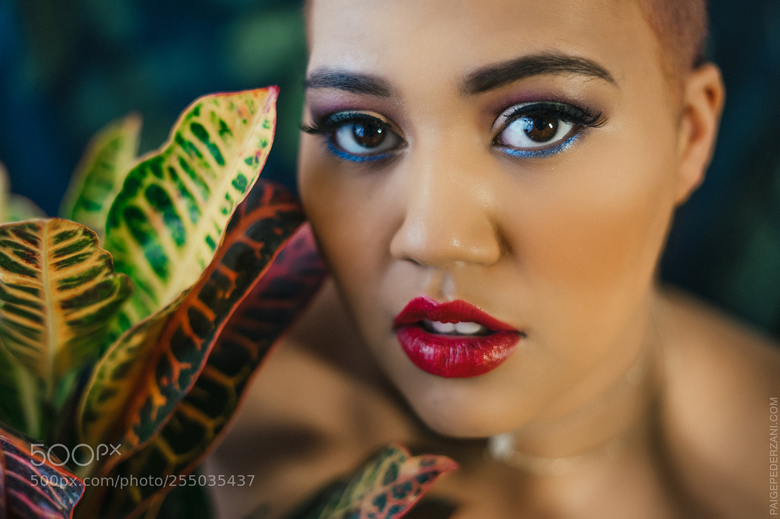 Sony a7 II sample photo. The garden of eden photography