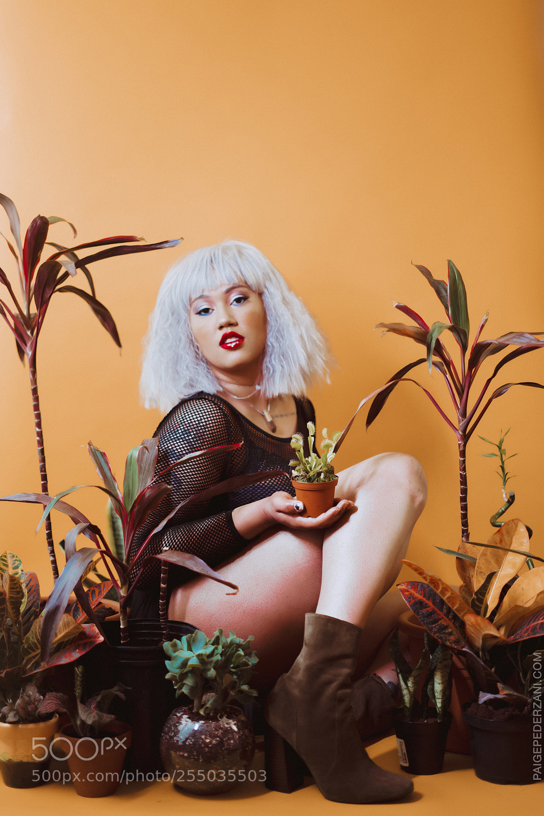 Sony a7 II sample photo. The garden of eden photography