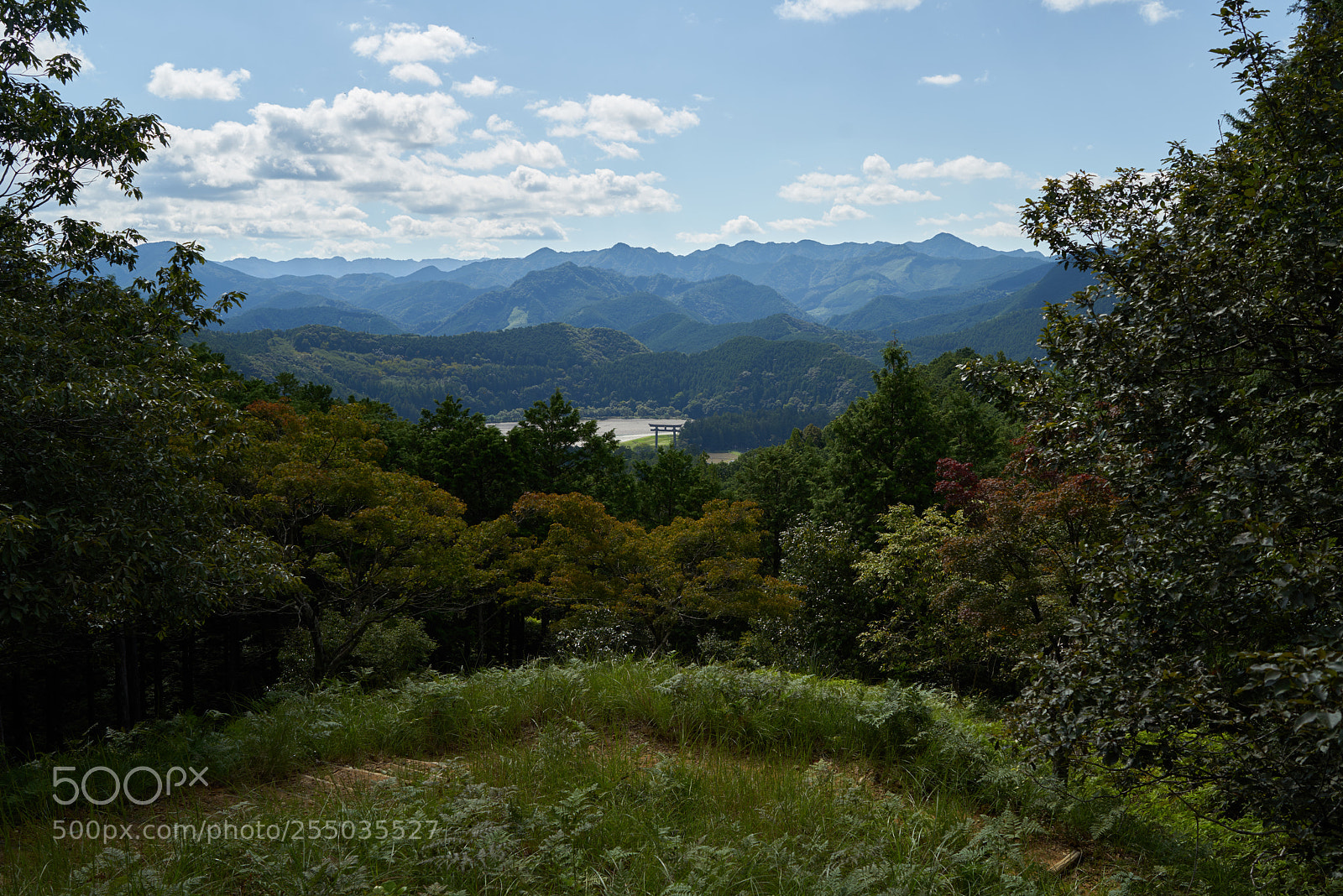 Sony a7R sample photo. Hongu taisha torii photography