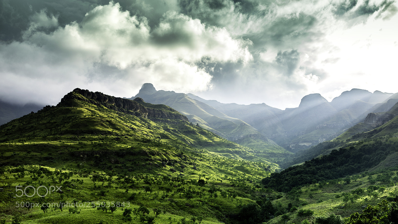 Canon EOS 5D Mark IV sample photo. Royal natal national park photography