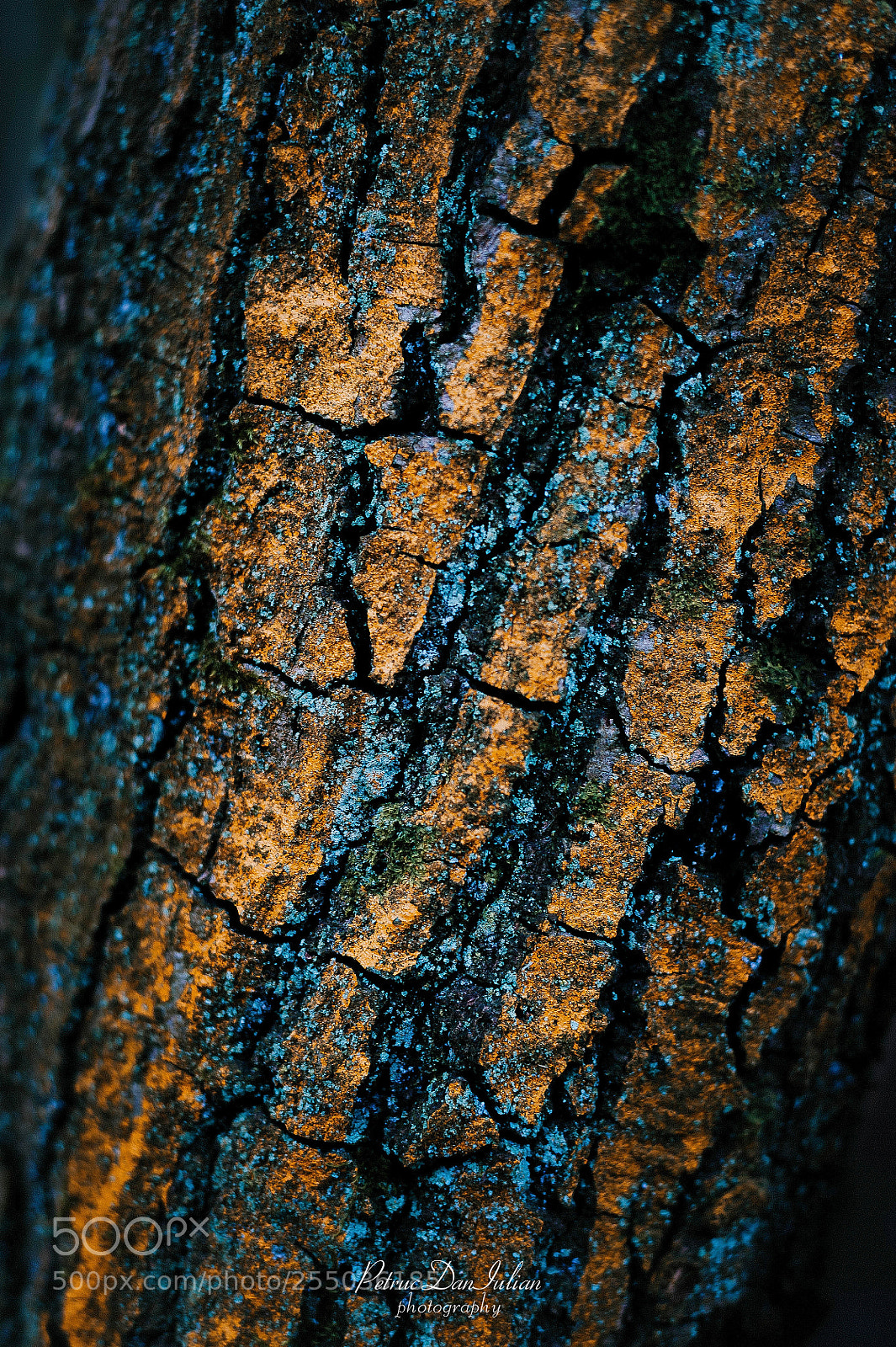 Nikon D700 sample photo. Text. photography