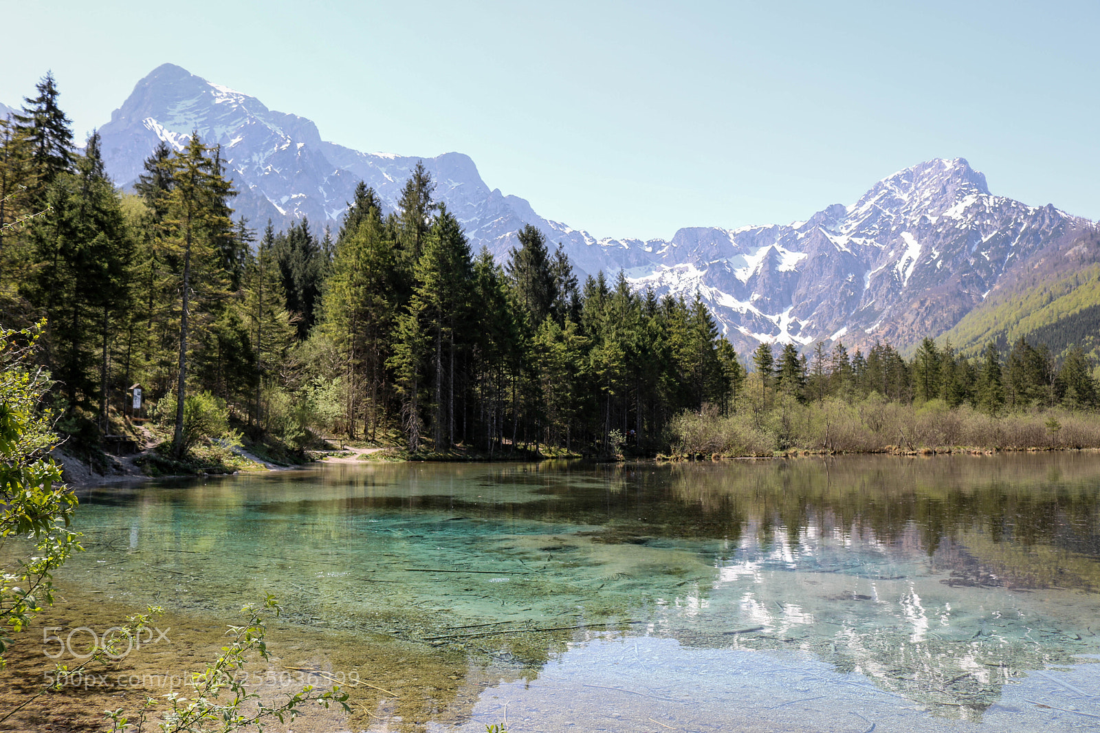 Canon EOS 750D (EOS Rebel T6i / EOS Kiss X8i) sample photo. Frühling am almsee photography