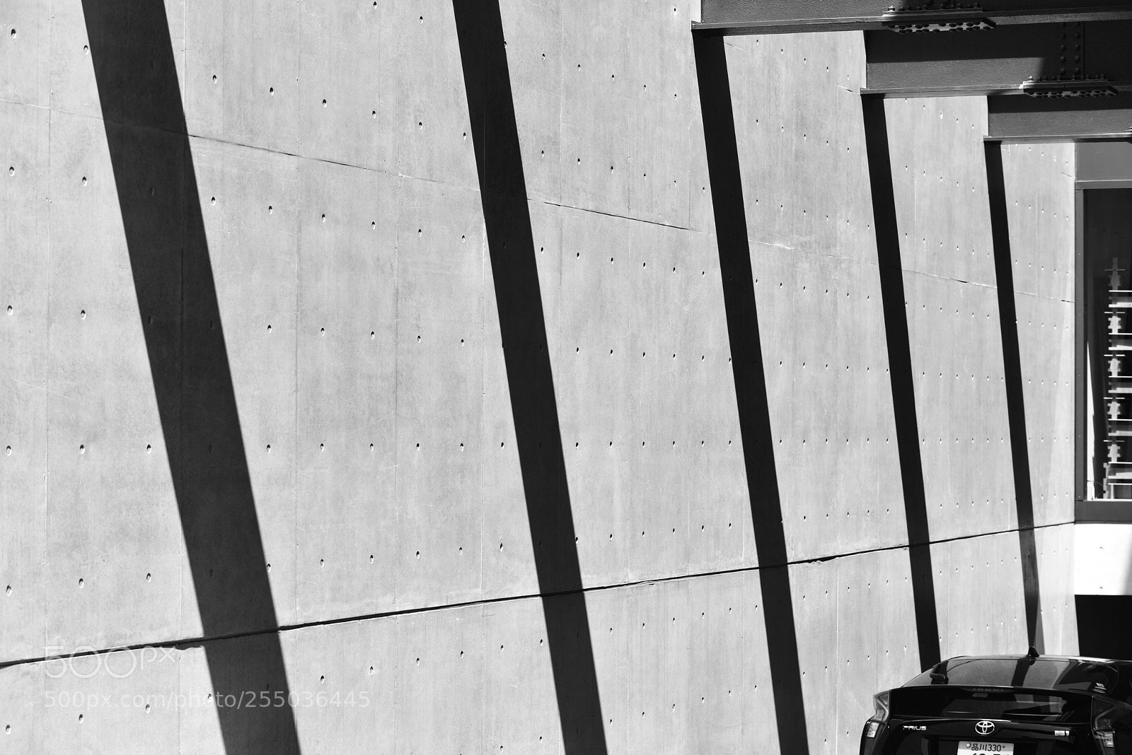 Nikon D810 sample photo. A wall d810 photography