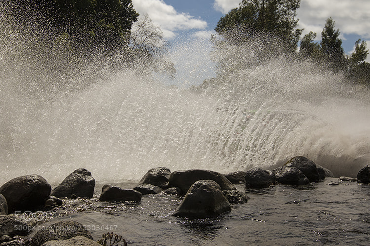 Canon EOS 7D Mark II sample photo. Mg photography