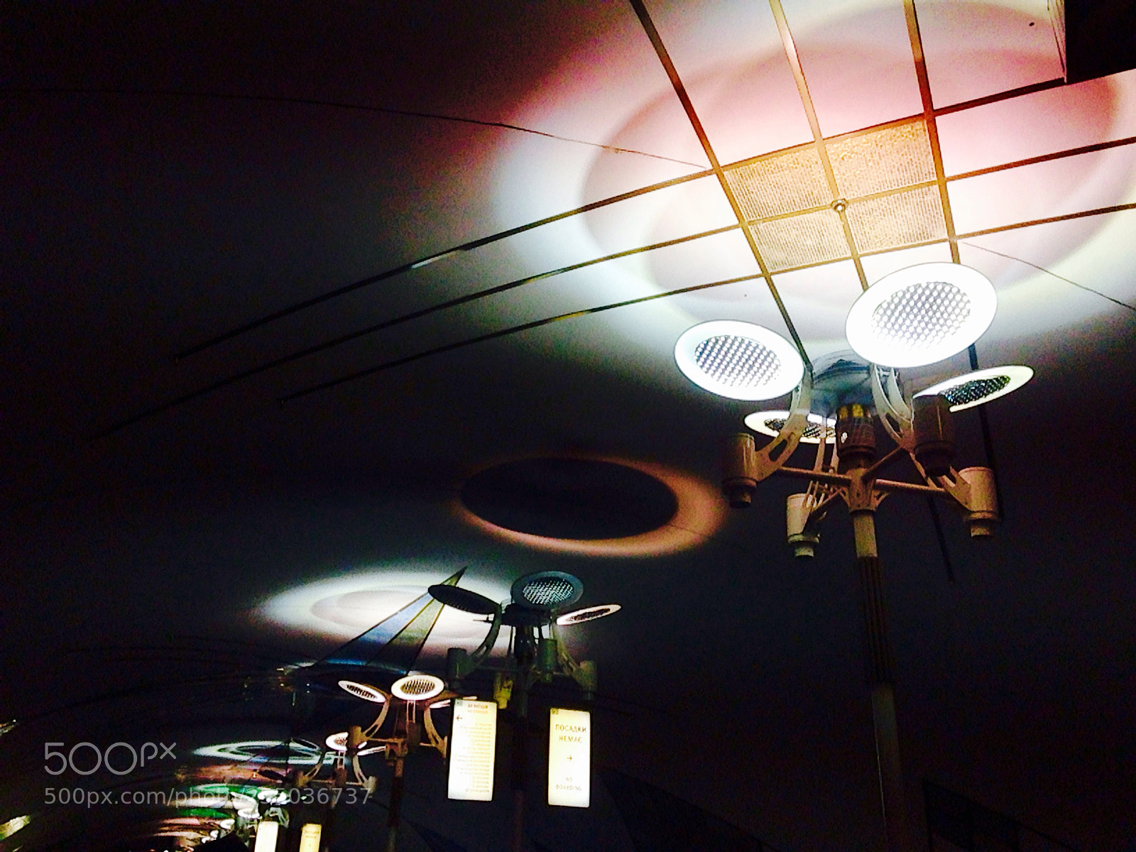 Apple iPhone 5c sample photo. Another thing  photography