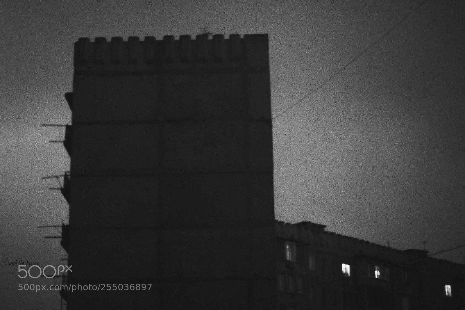 Canon EOS 7D Mark II sample photo. Black and white photography