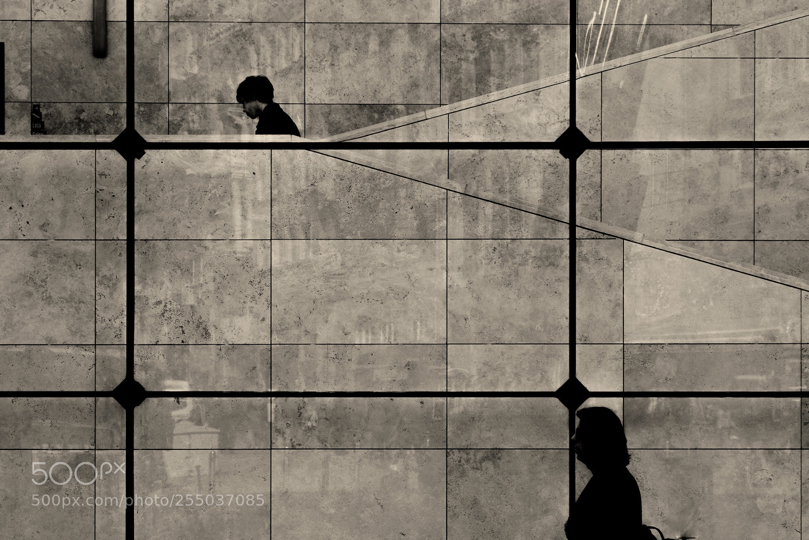 Canon EOS 6D Mark II sample photo. Silhouette photography