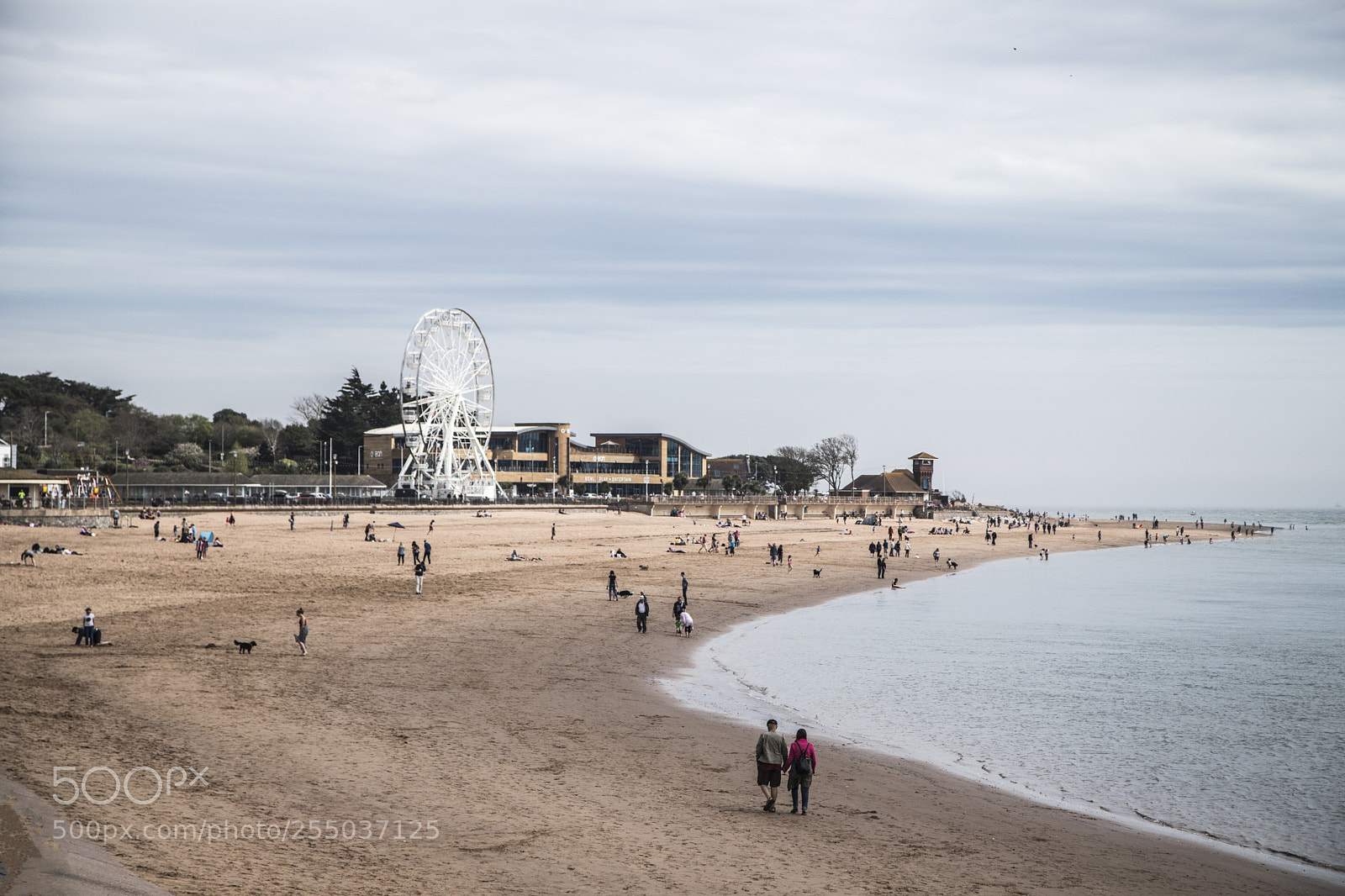 Canon EOS 6D Mark II sample photo. Exmouth seafront and marina photography