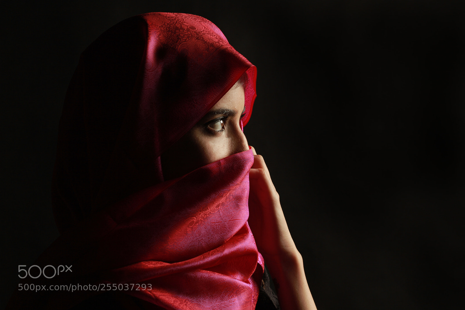 Canon EOS 5D Mark II sample photo. Arshia photography