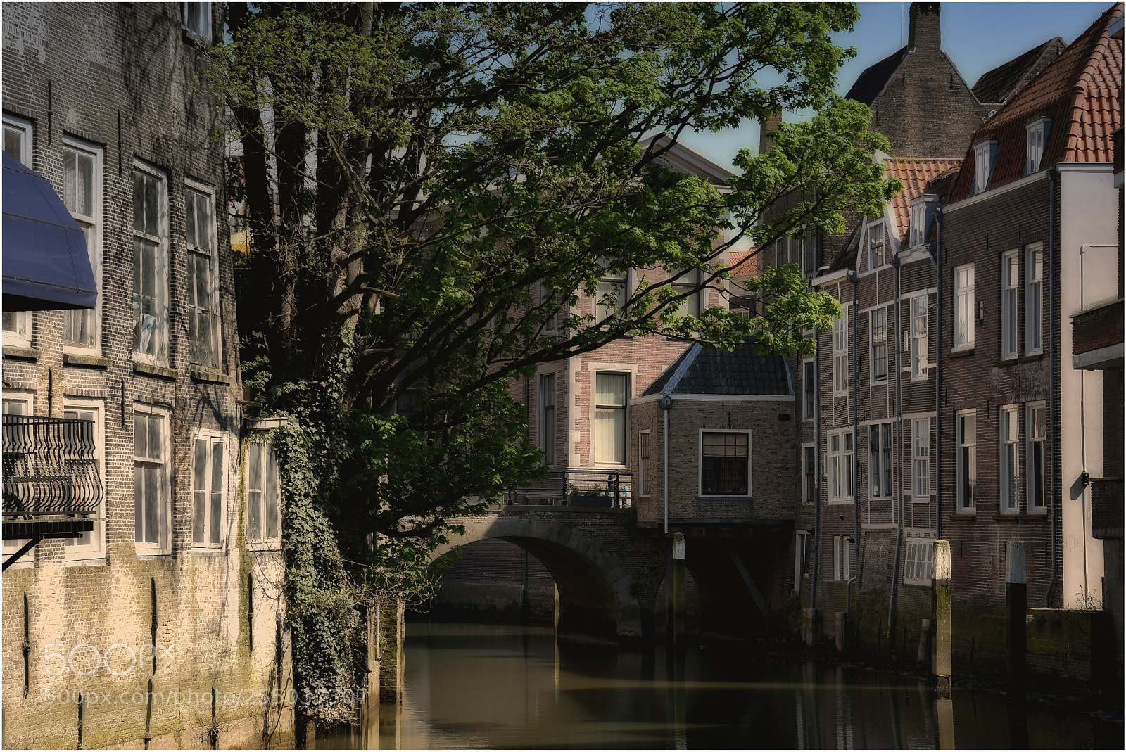 Nikon D3400 sample photo. Voorstraathaven photography