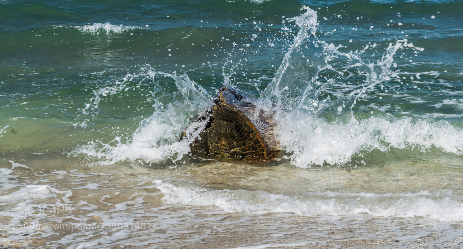 Nikon D5300 sample photo. Untitled photography
