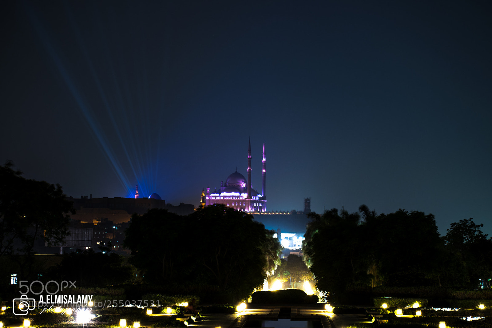 Nikon D3300 sample photo. Lights photography
