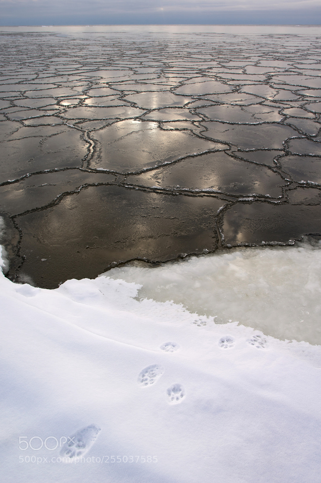 Pentax K-3 sample photo. Footprints photography