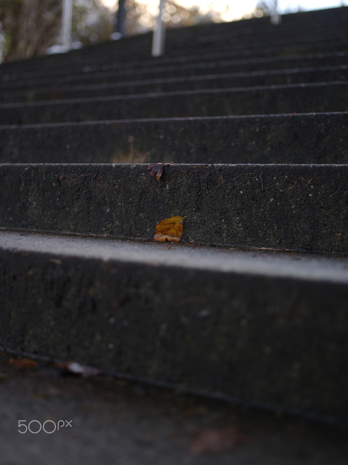 Pentax smc D FA 645 55mm F2.8 AL (IF) SDM AW sample photo. Stairs with leaves and ice photography