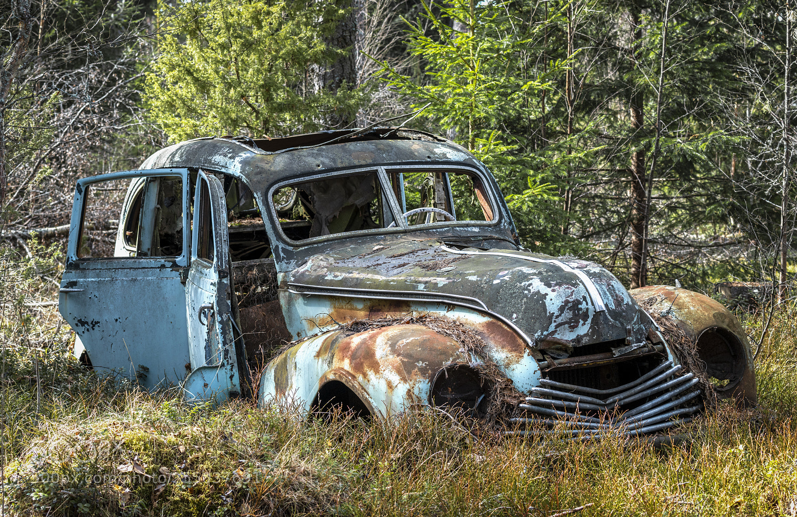 Nikon D850 sample photo. Abandoned beauty photography
