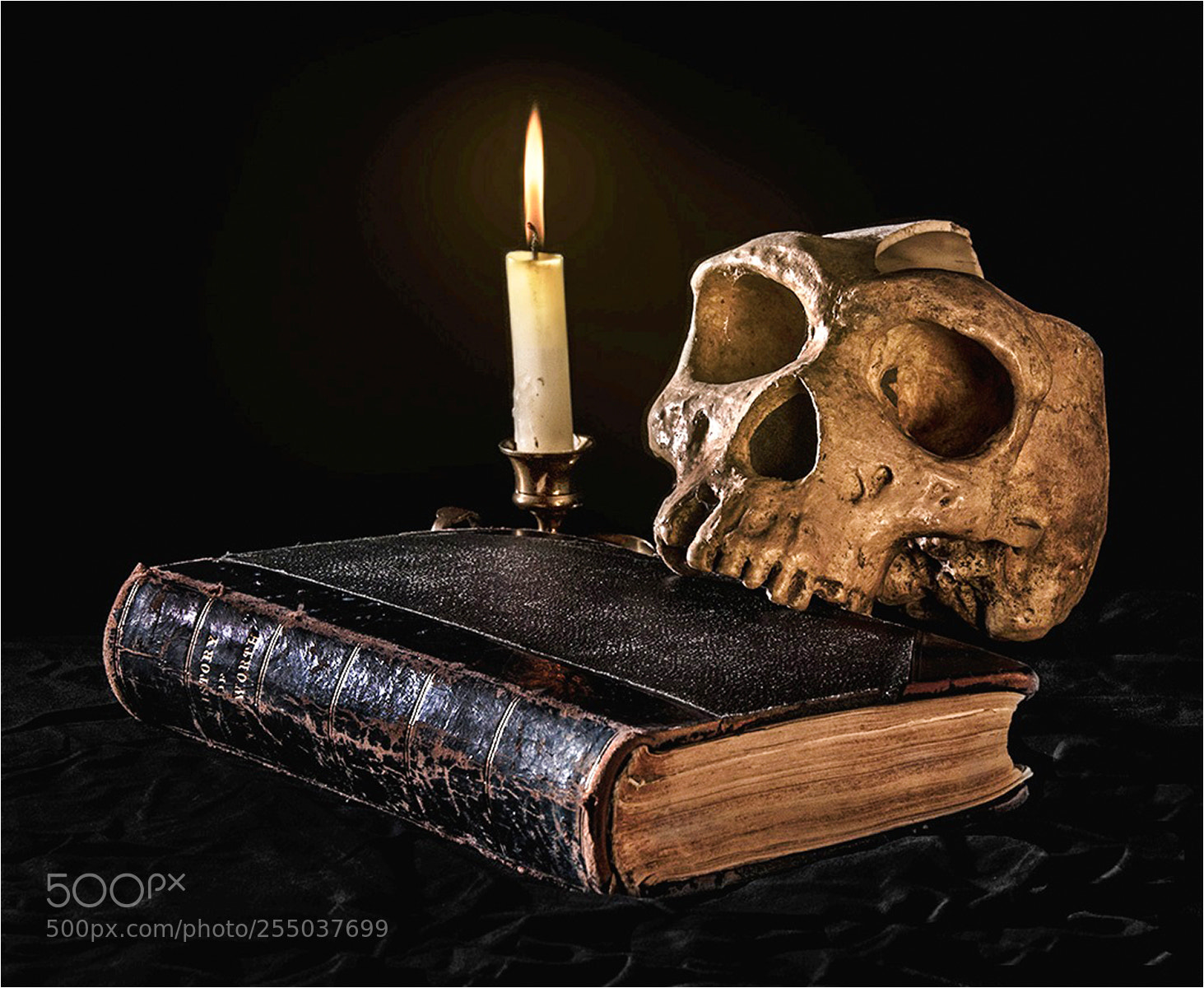 Nikon D610 sample photo. The book keeper photography