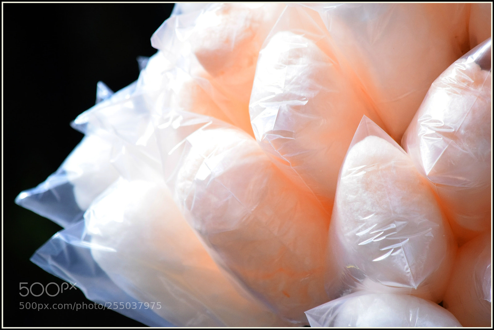 Nikon D5300 sample photo. ... photography