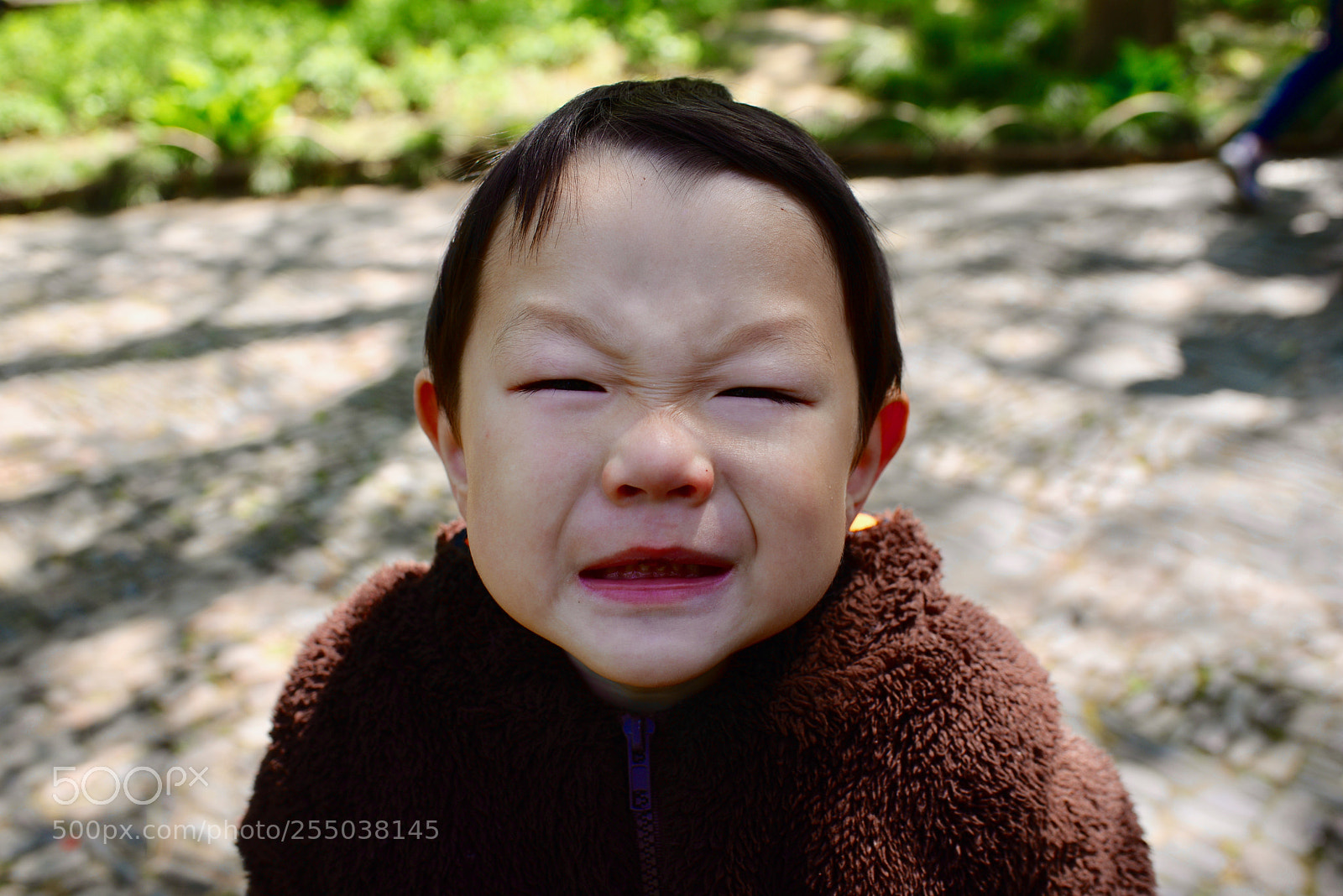 Nikon D610 sample photo. 挤眉弄眼 photography