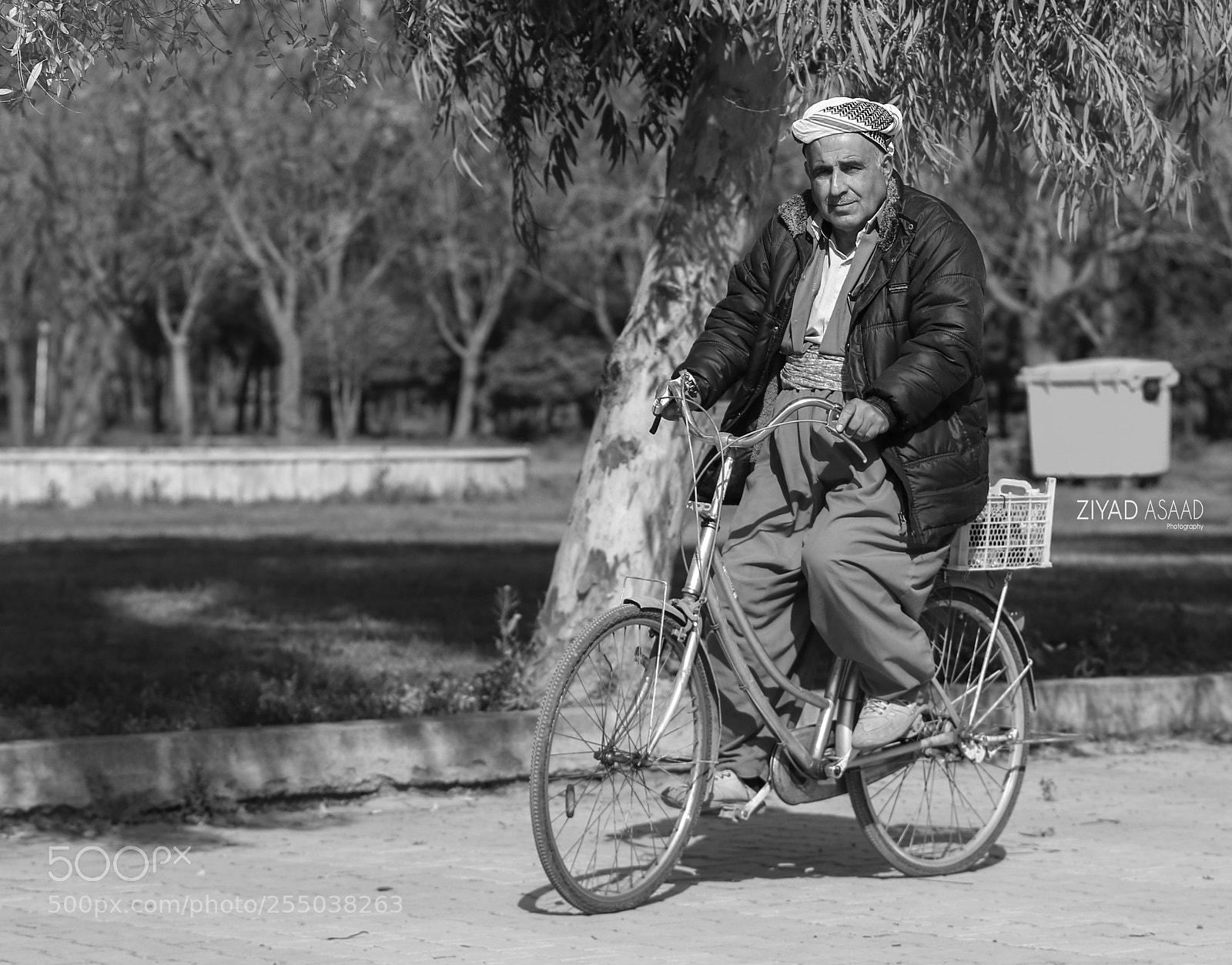 Canon EOS 7D Mark II sample photo. Untitled photography
