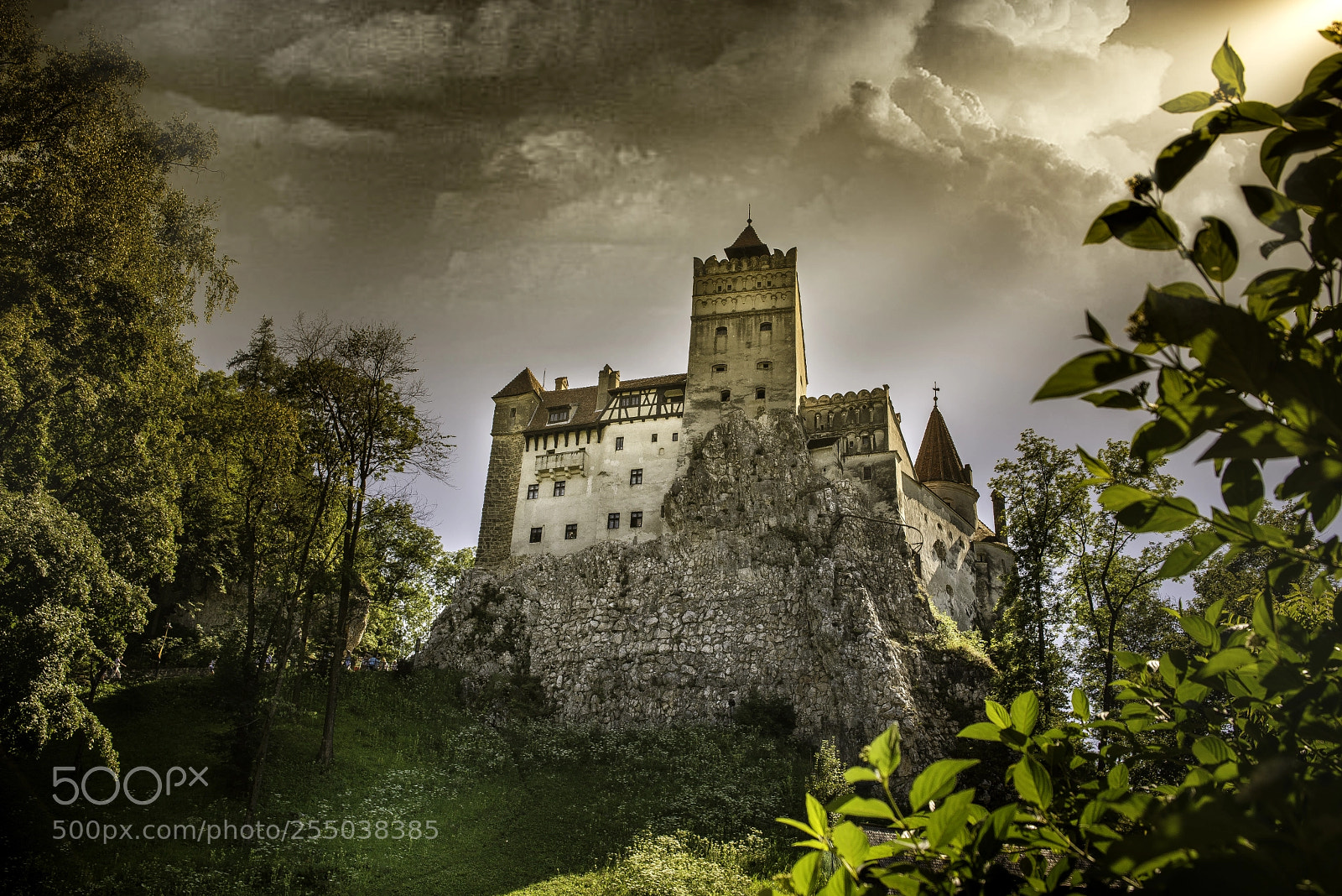 Nikon D610 sample photo. Dracula's castle photography