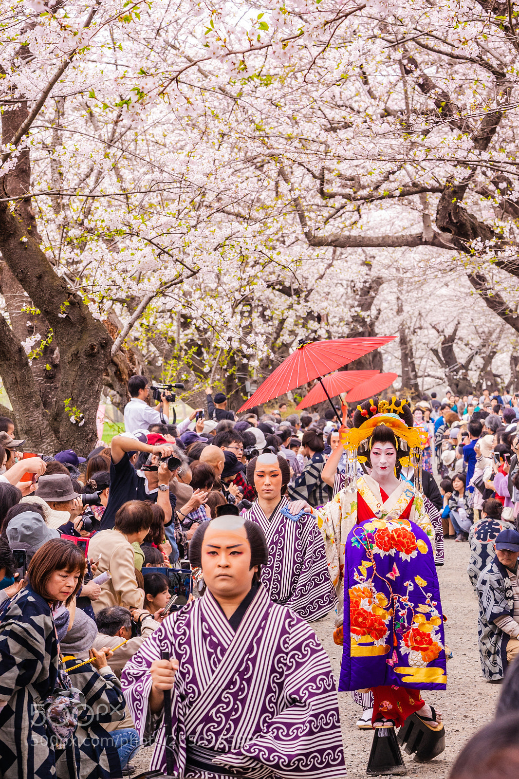 Sony a7R sample photo. A marching lady photography
