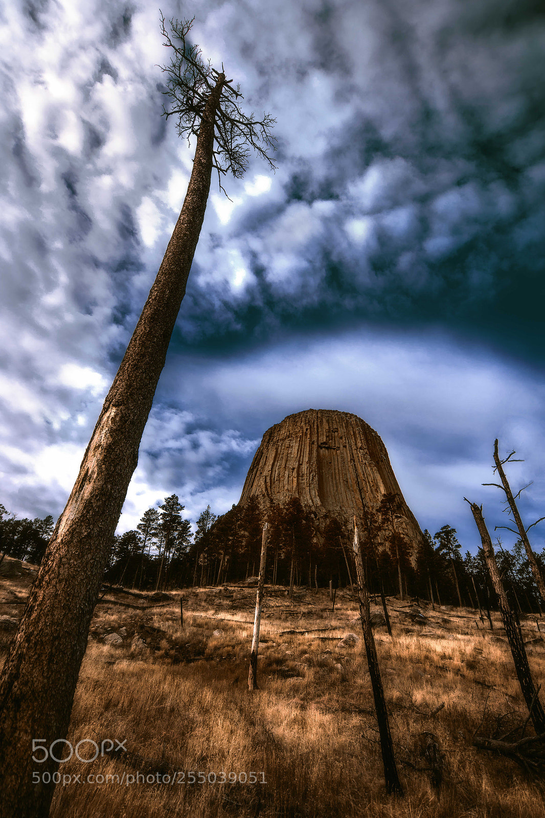 Nikon D850 sample photo. Devils tower photography