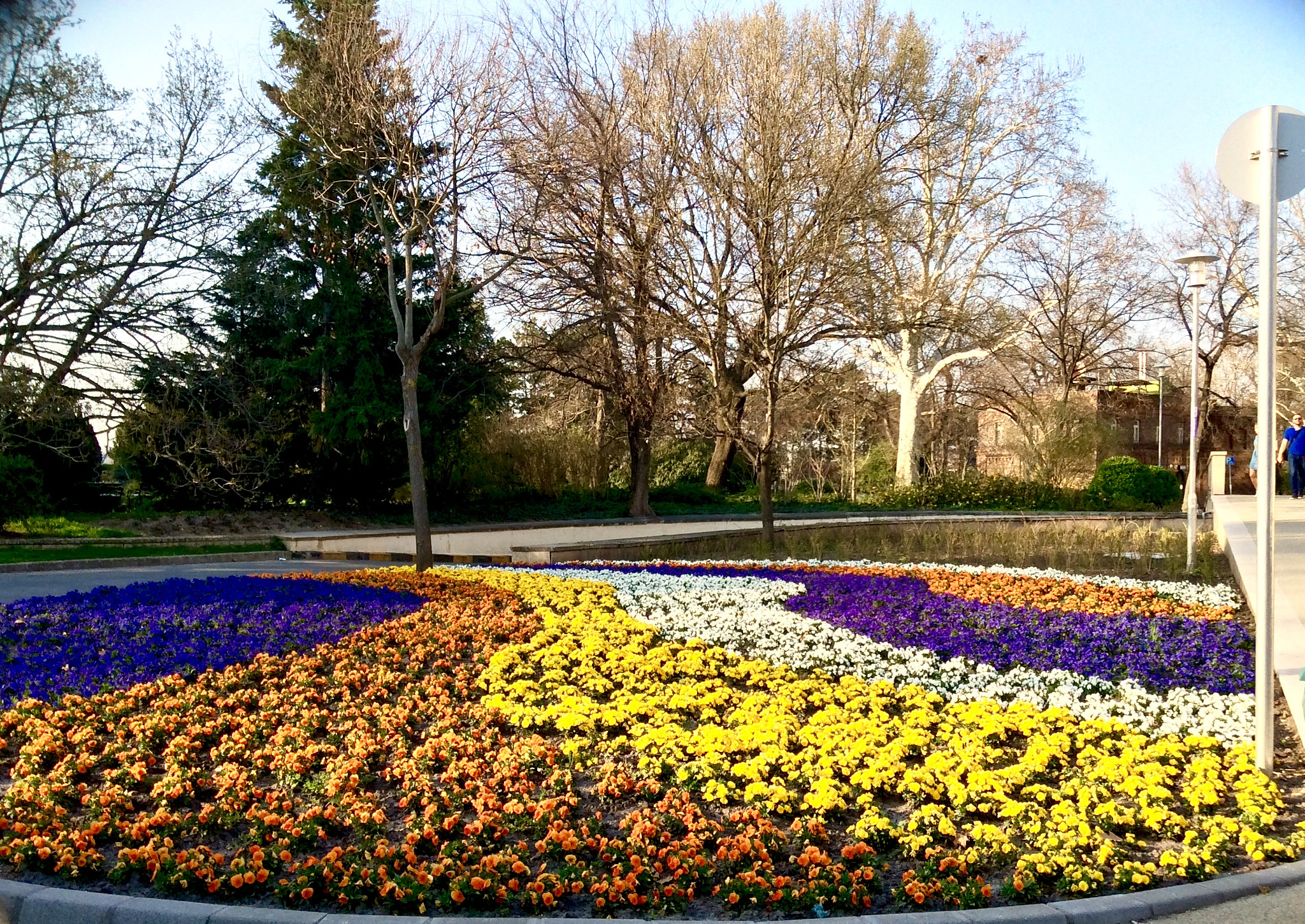 Apple iPad Air sample photo. Spring welcoming photography