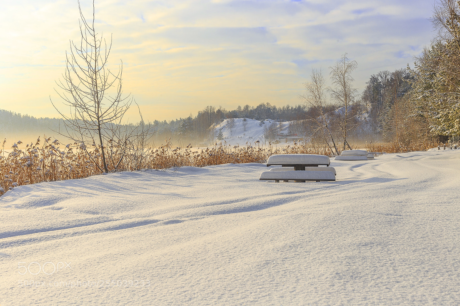 Canon EOS 6D sample photo. Winter photography