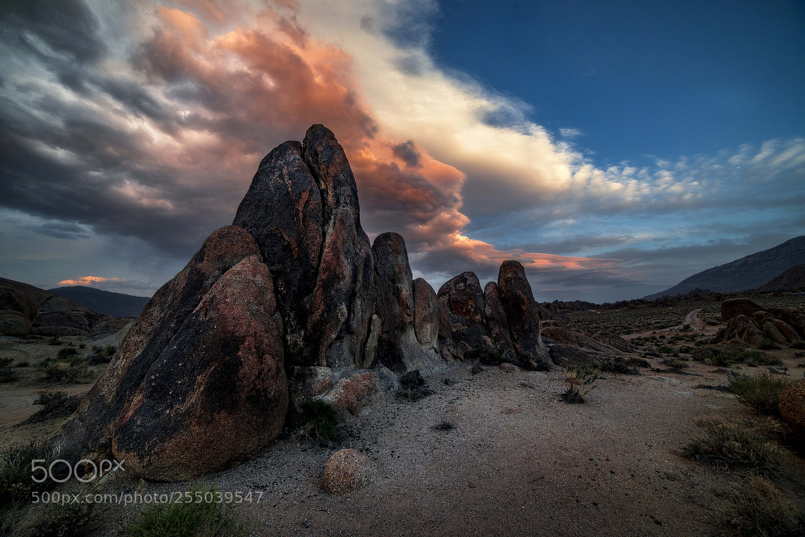 Nikon D610 sample photo. Desert sunset photography
