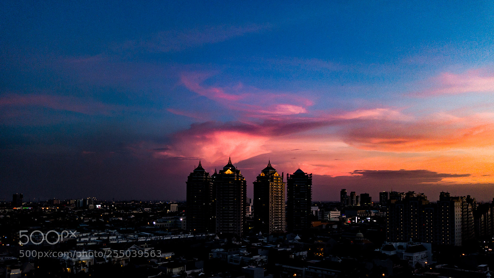 DJI FC220 sample photo. Twotone photography