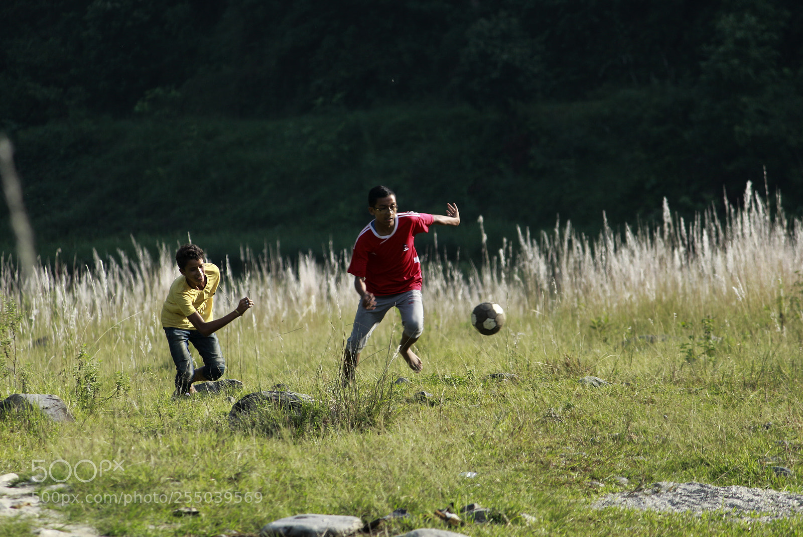 Canon EOS 700D (EOS Rebel T5i / EOS Kiss X7i) sample photo. Playing football photography