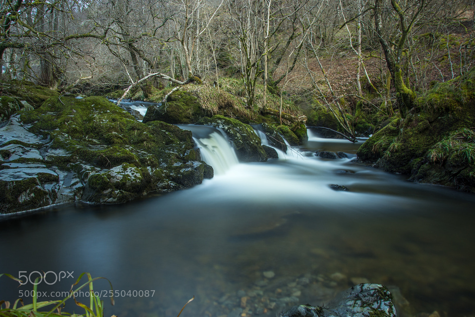 Nikon D7200 sample photo. Three way split photography