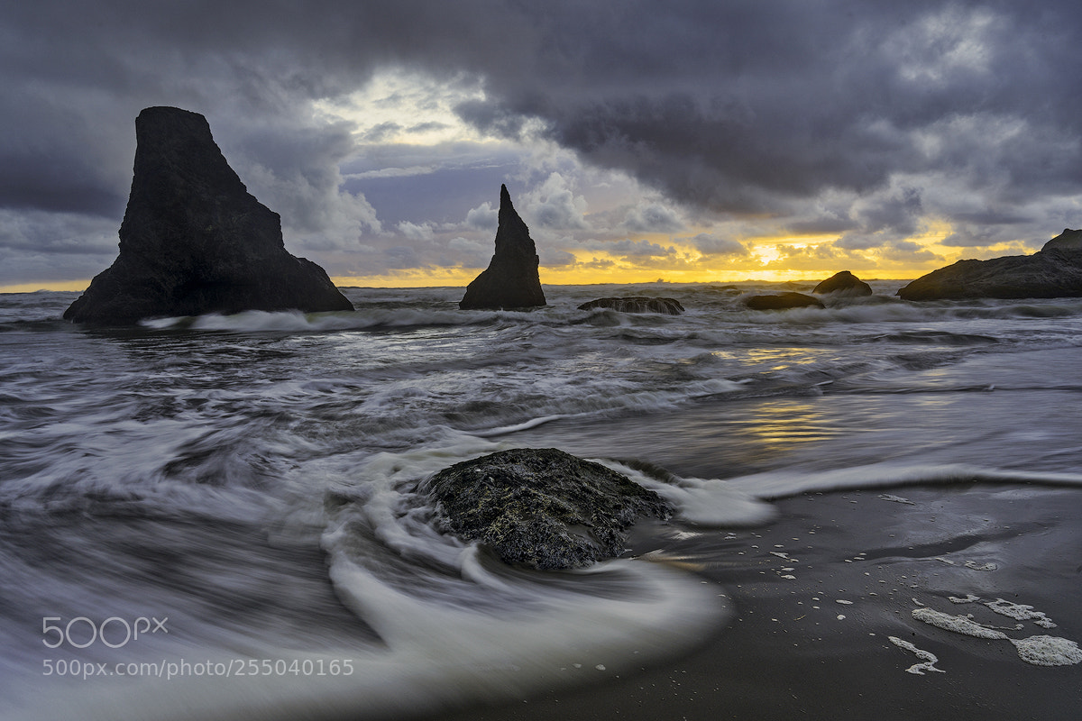 Sony a7R III sample photo. Sea stacks and clearing photography