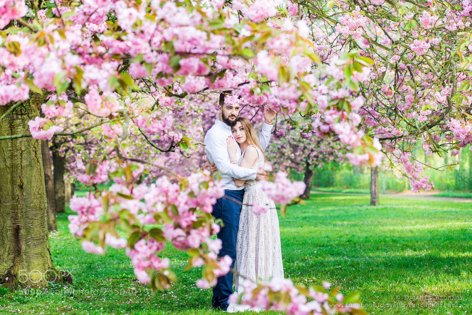 Nikon D610 sample photo. Cherry blossom paradise photography