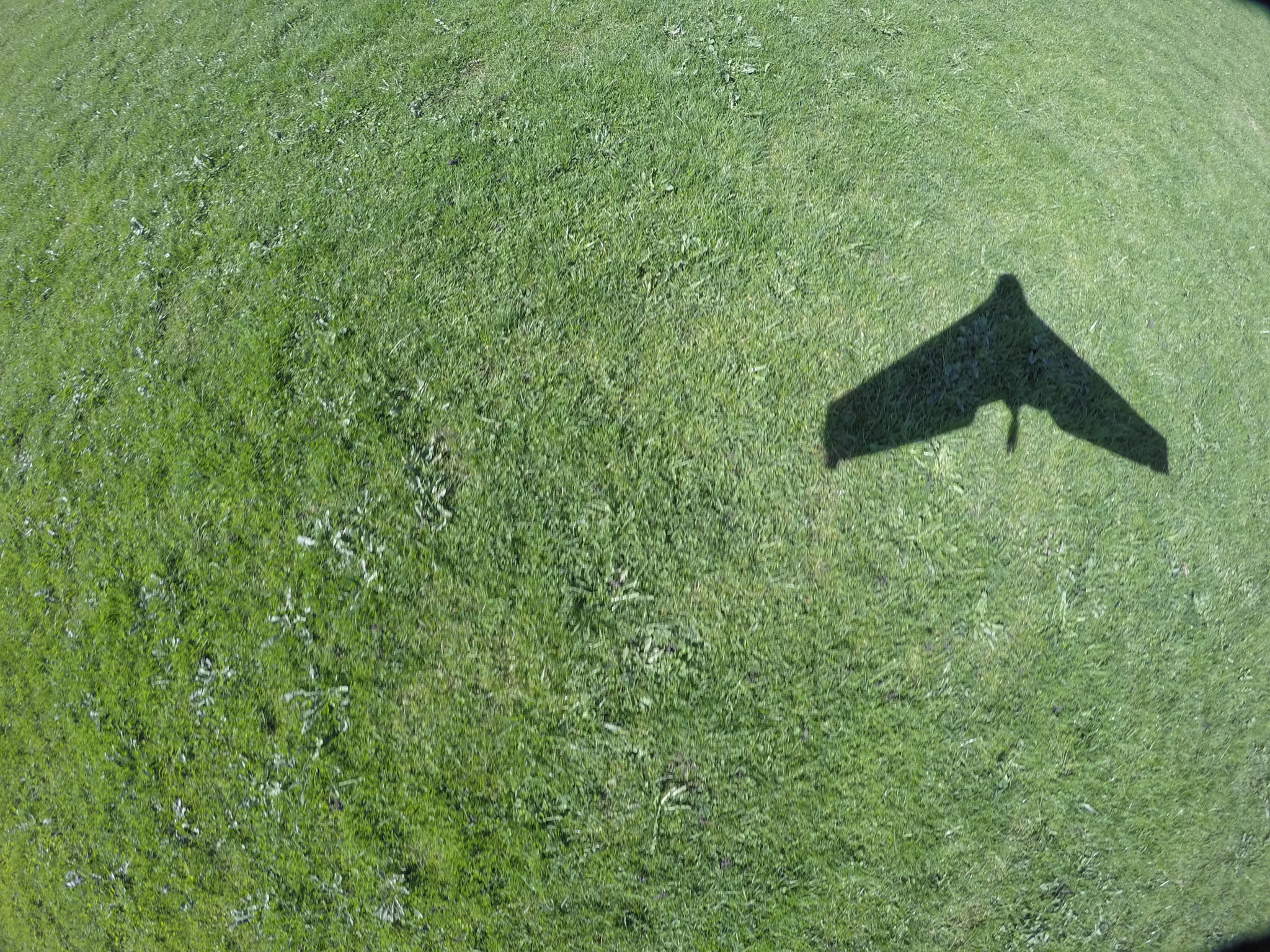 GoPro HERO4 Black sample photo. Flying shadow photography
