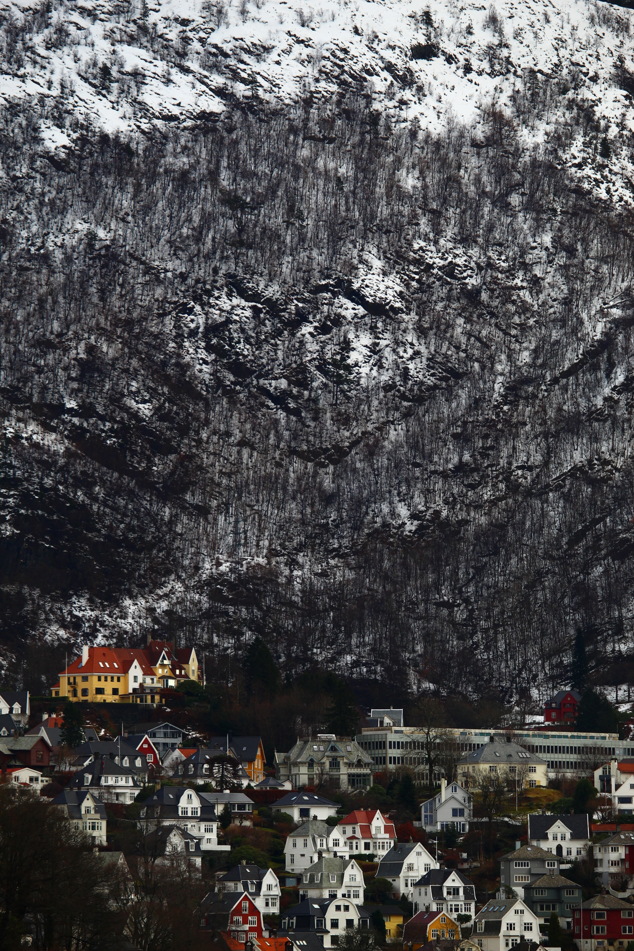 Canon EF-S 55-250mm F4-5.6 IS STM sample photo. Img photography