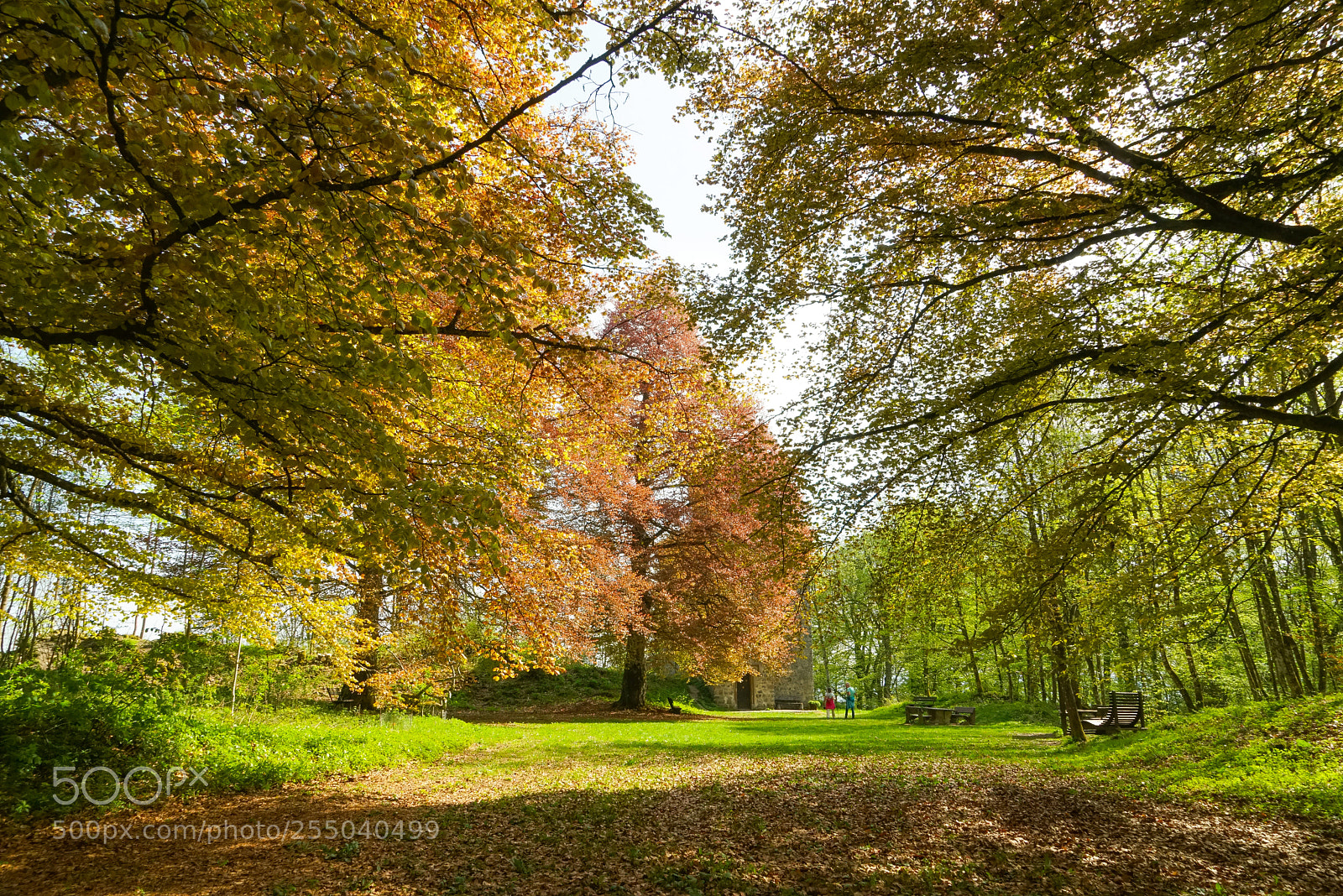 Sony a7R sample photo. Aremberg photography